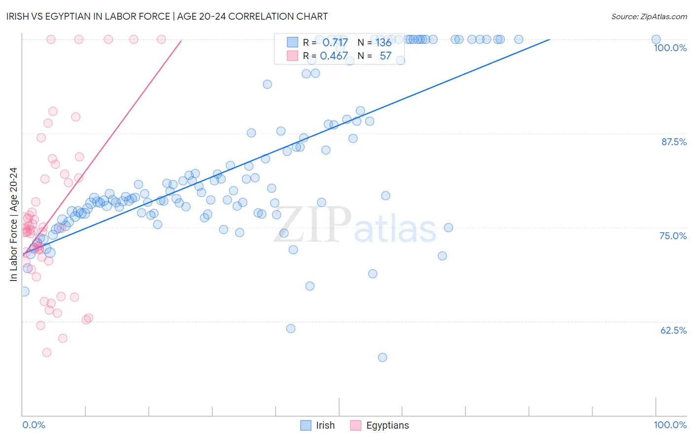 Irish vs Egyptian In Labor Force | Age 20-24