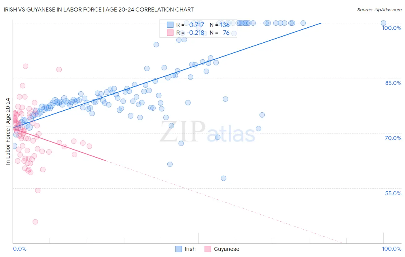 Irish vs Guyanese In Labor Force | Age 20-24