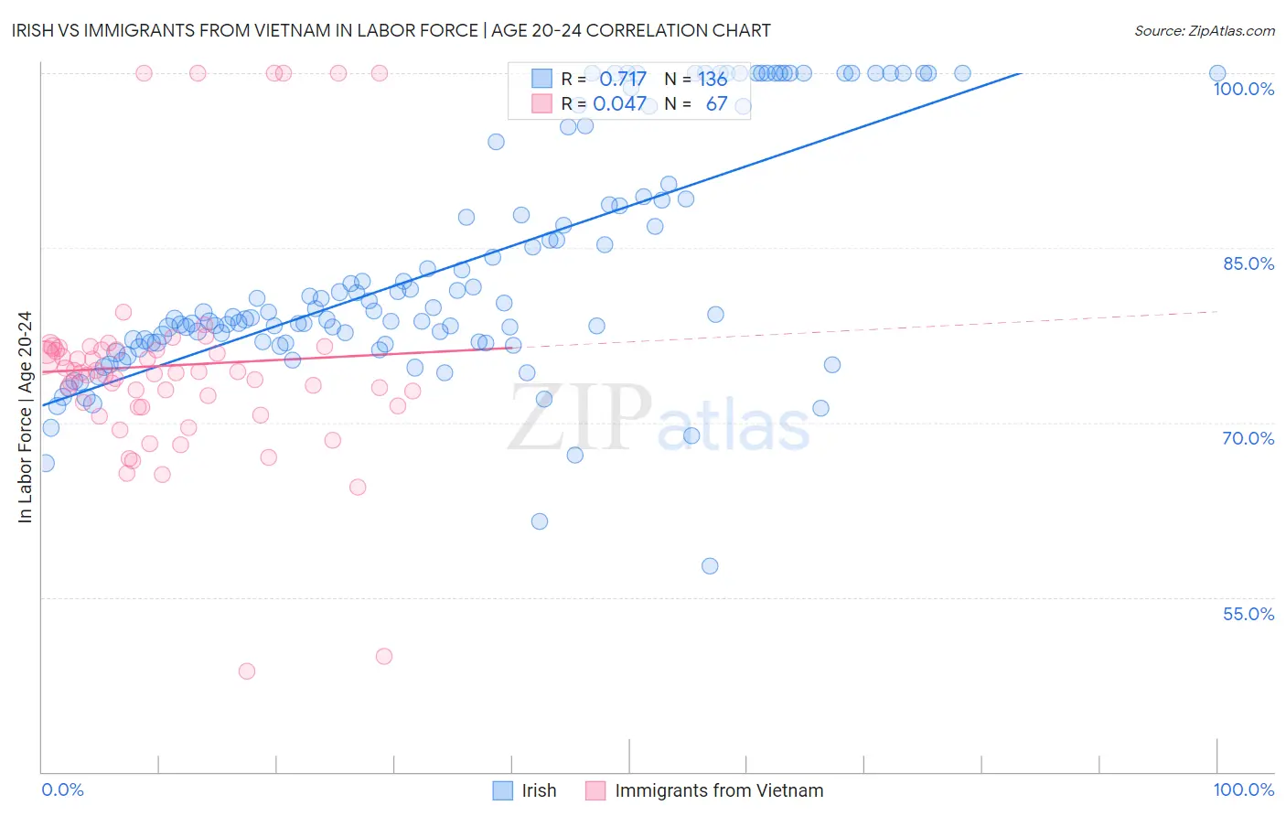 Irish vs Immigrants from Vietnam In Labor Force | Age 20-24