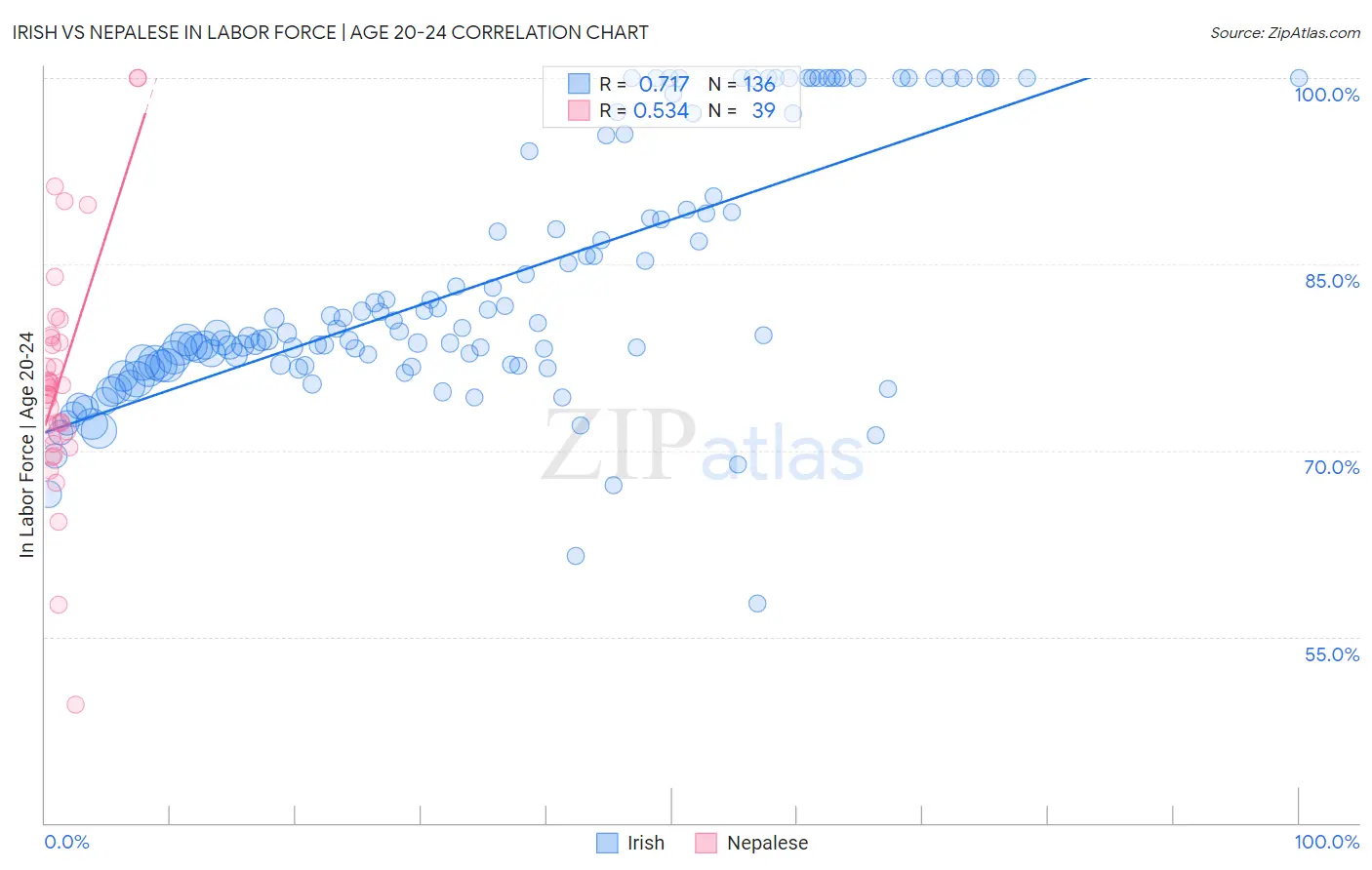Irish vs Nepalese In Labor Force | Age 20-24