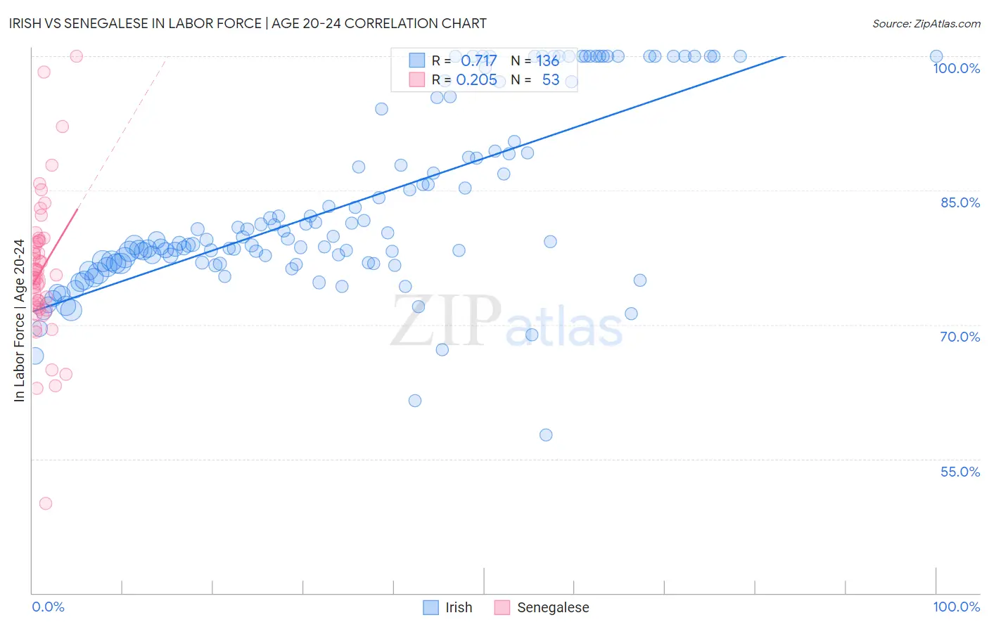 Irish vs Senegalese In Labor Force | Age 20-24