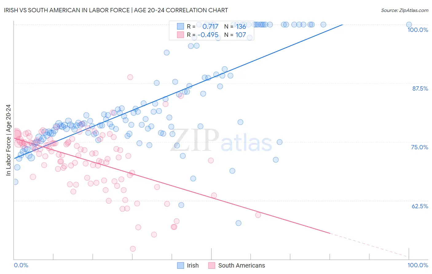 Irish vs South American In Labor Force | Age 20-24