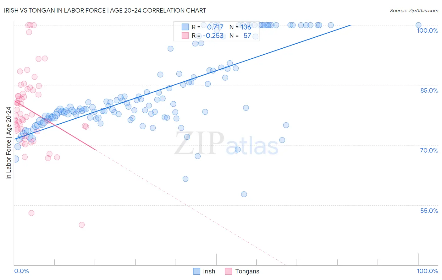 Irish vs Tongan In Labor Force | Age 20-24