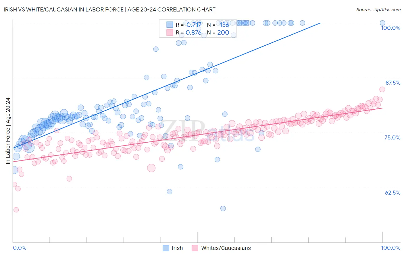 Irish vs White/Caucasian In Labor Force | Age 20-24