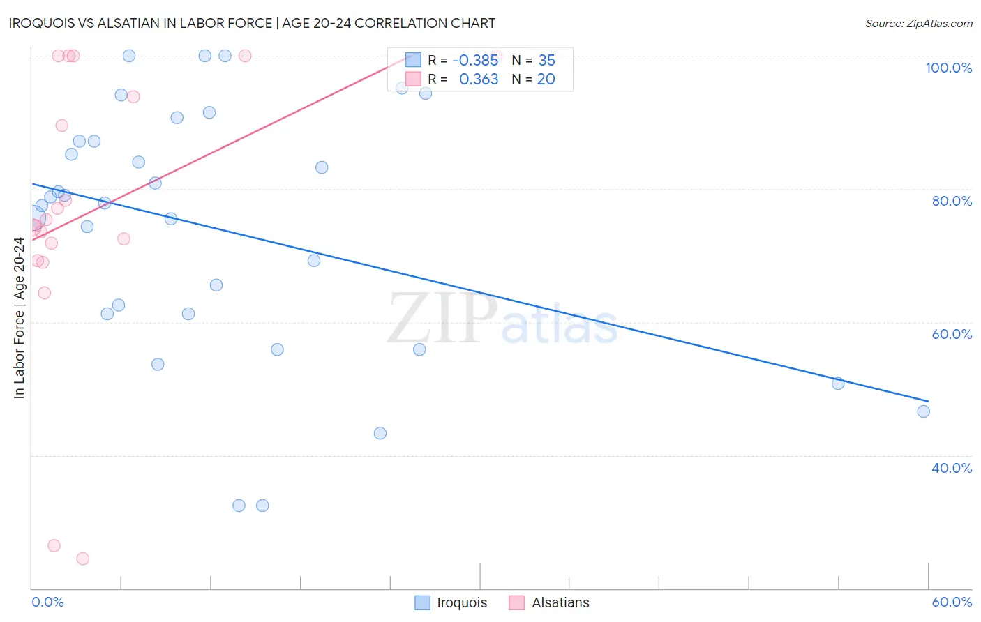 Iroquois vs Alsatian In Labor Force | Age 20-24