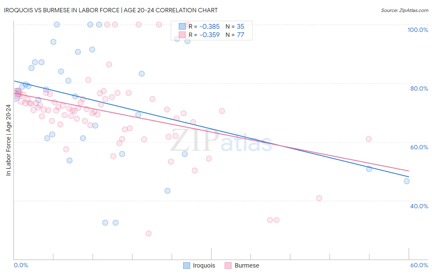 Iroquois vs Burmese In Labor Force | Age 20-24