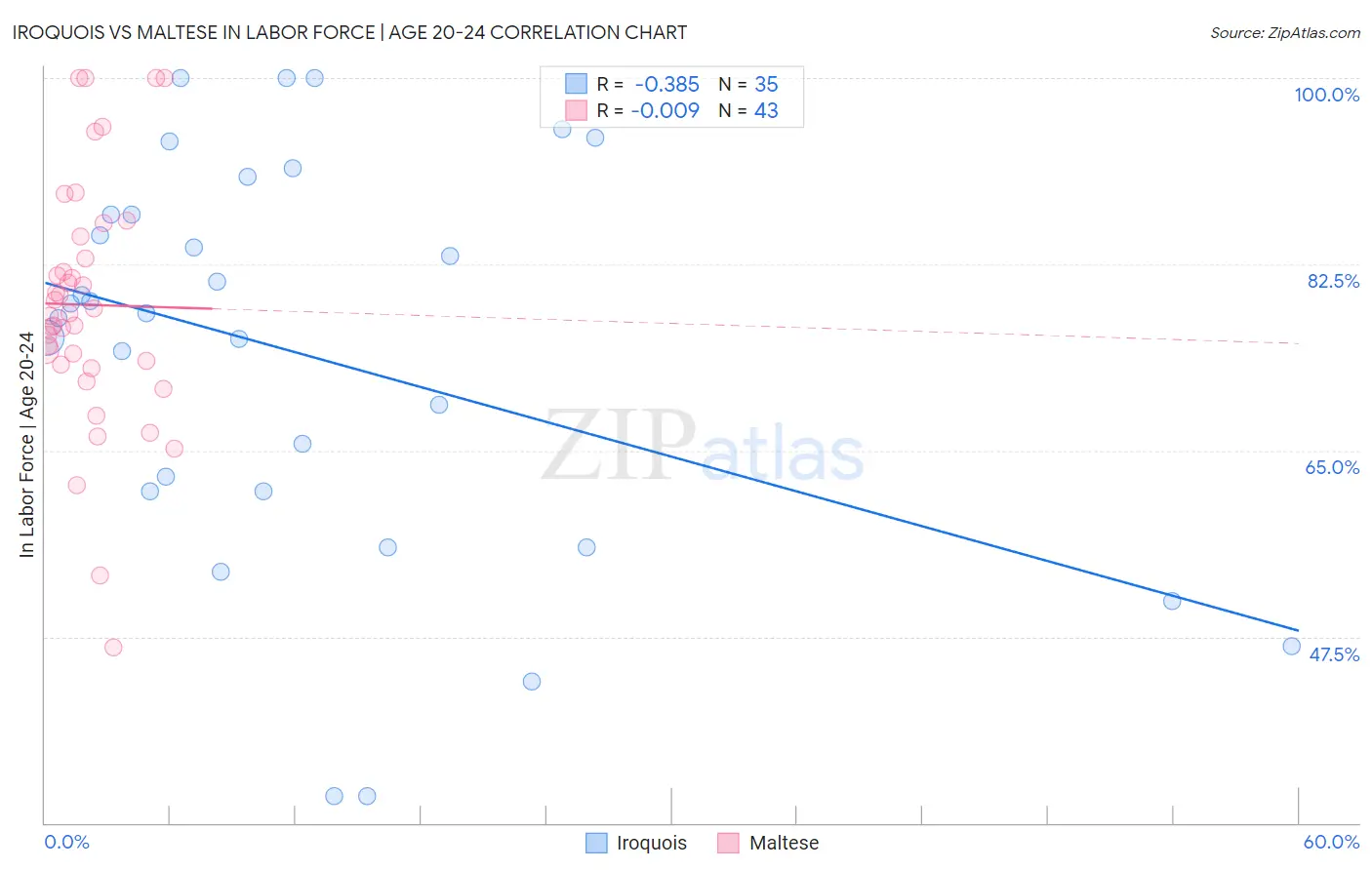 Iroquois vs Maltese In Labor Force | Age 20-24