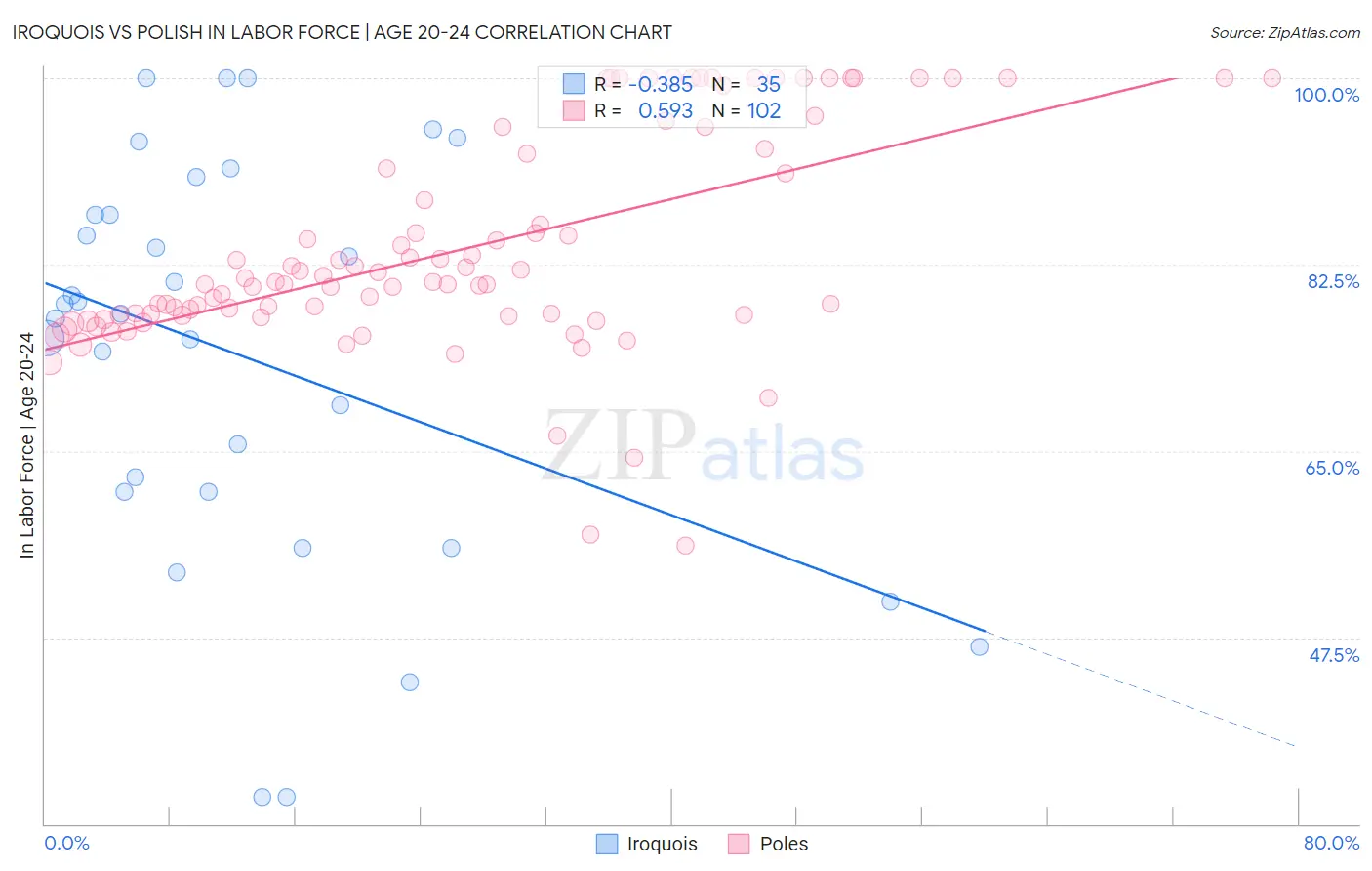 Iroquois vs Polish In Labor Force | Age 20-24
