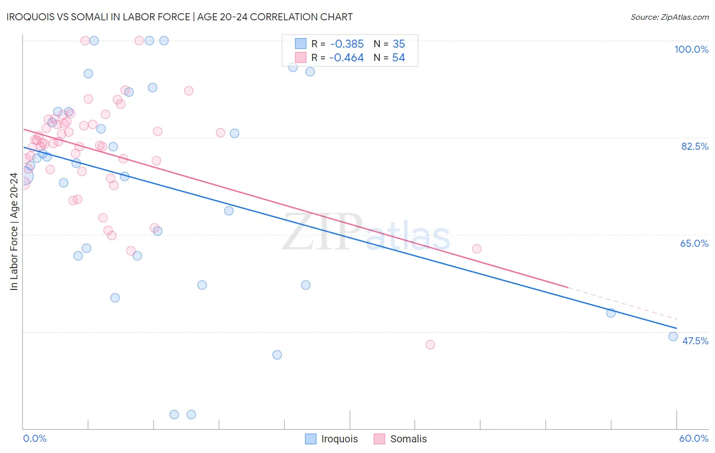 Iroquois vs Somali In Labor Force | Age 20-24