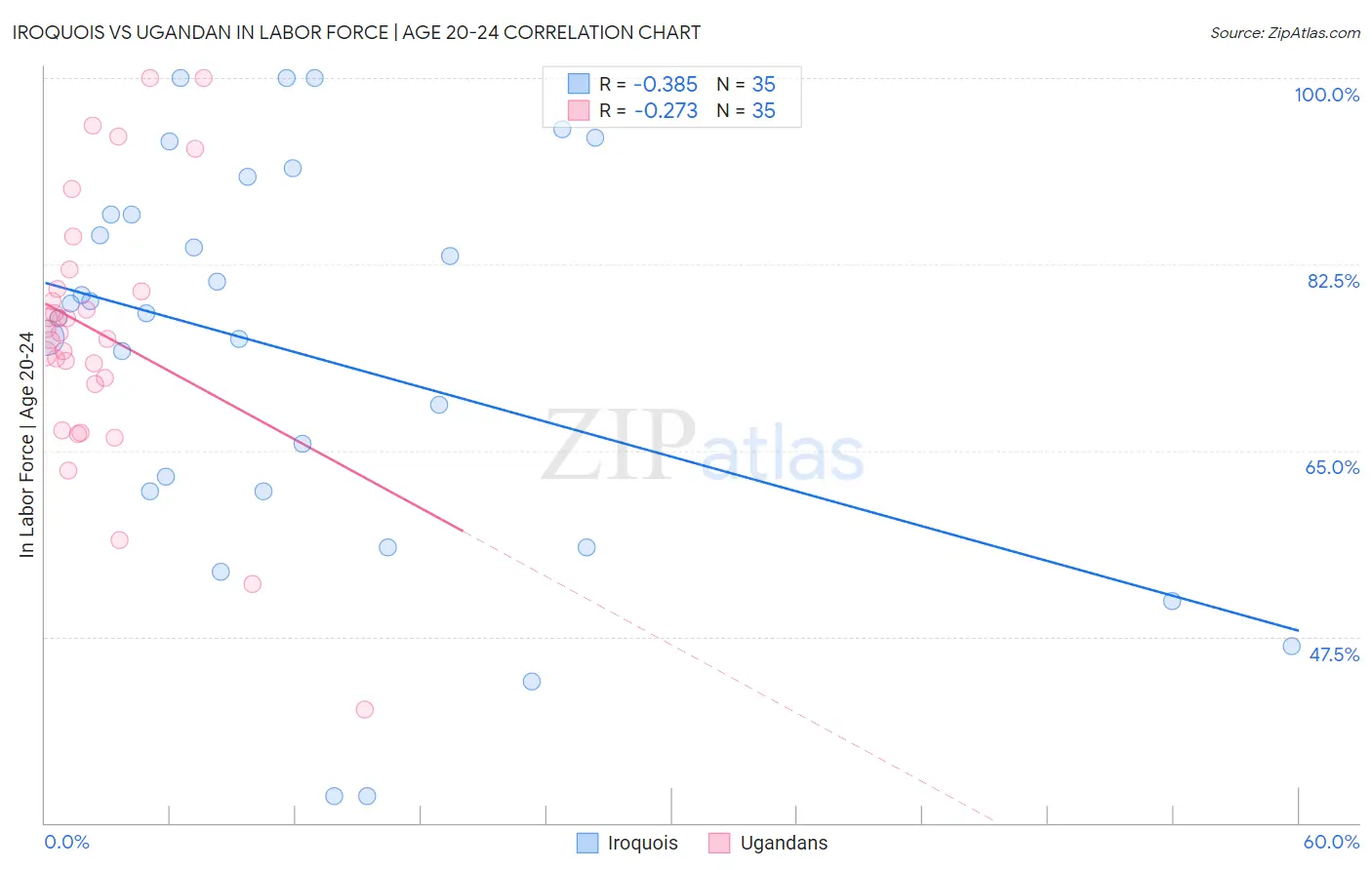 Iroquois vs Ugandan In Labor Force | Age 20-24