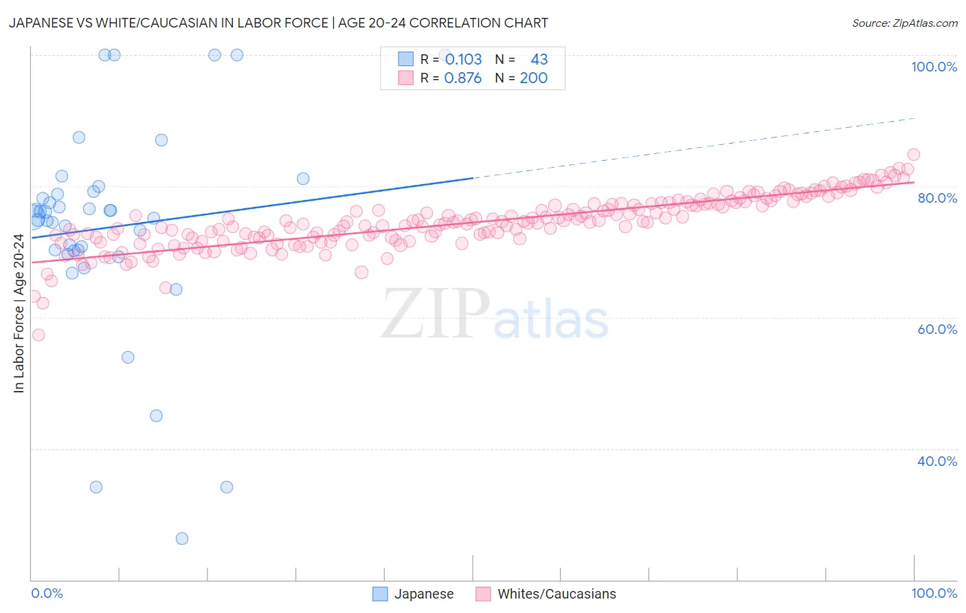 Japanese vs White/Caucasian In Labor Force | Age 20-24