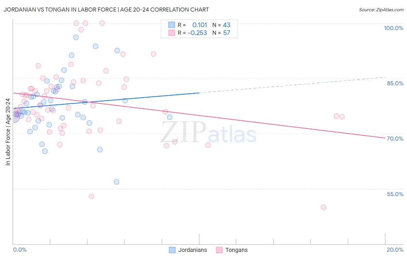 Jordanian vs Tongan In Labor Force | Age 20-24