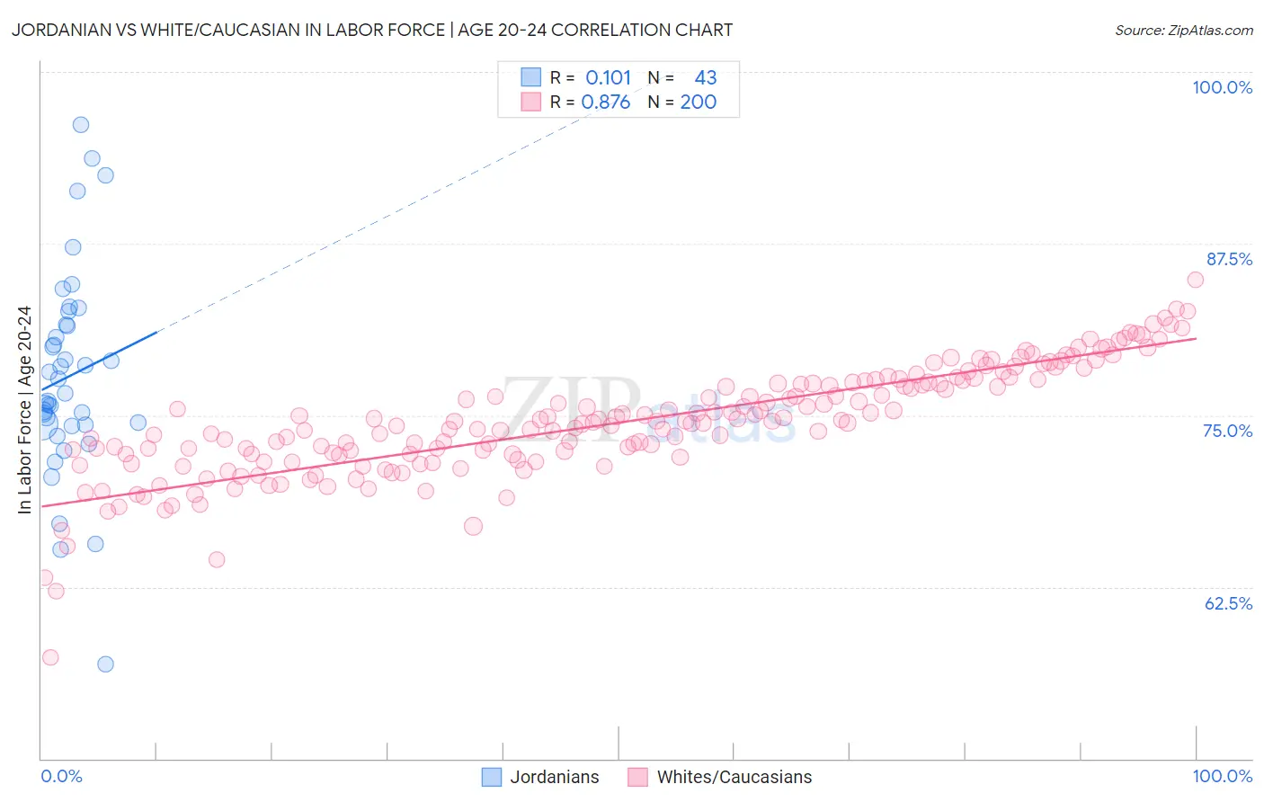 Jordanian vs White/Caucasian In Labor Force | Age 20-24