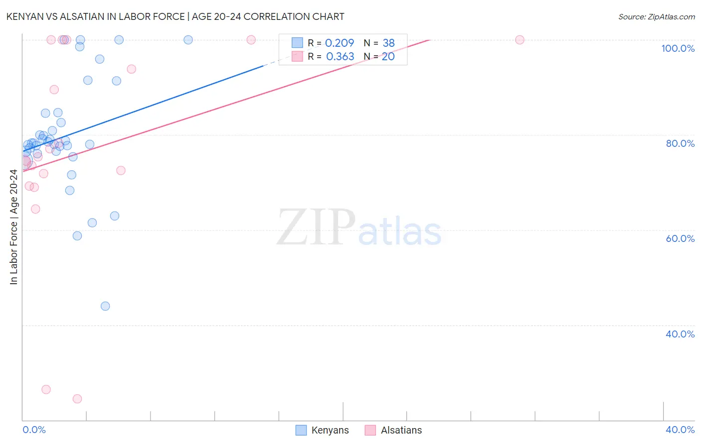 Kenyan vs Alsatian In Labor Force | Age 20-24