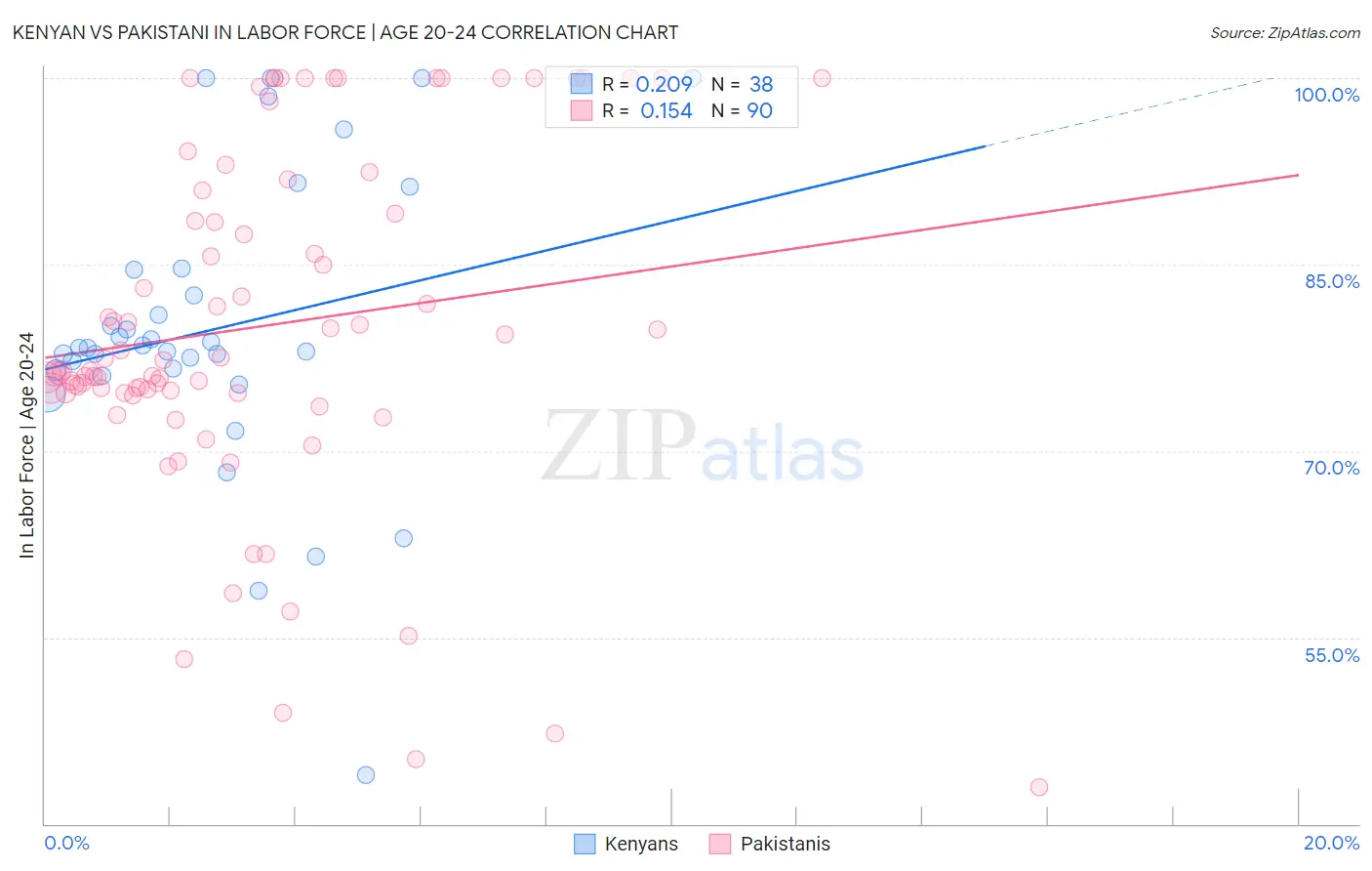 Kenyan vs Pakistani In Labor Force | Age 20-24