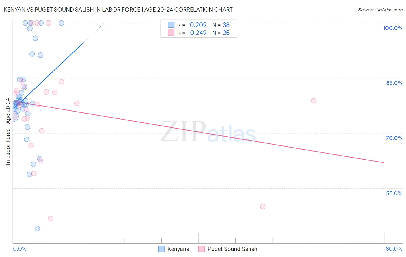 Kenyan vs Puget Sound Salish In Labor Force | Age 20-24