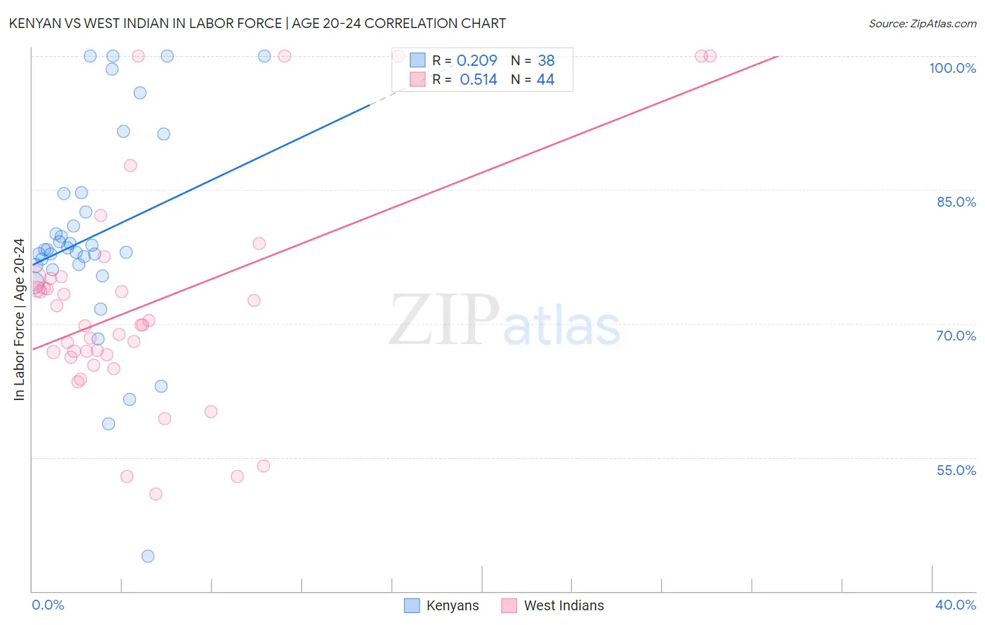 Kenyan vs West Indian In Labor Force | Age 20-24