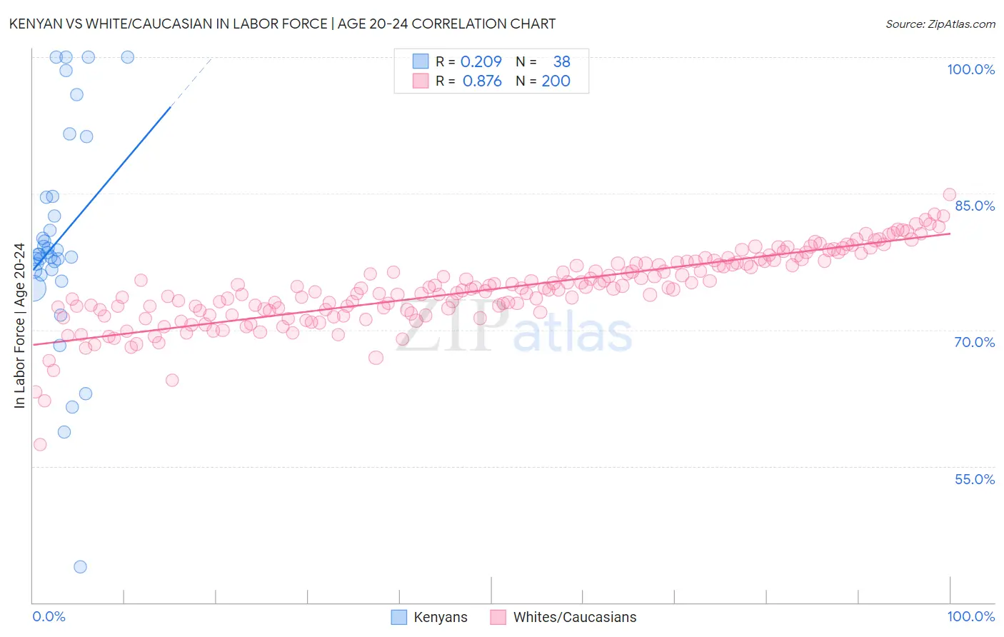 Kenyan vs White/Caucasian In Labor Force | Age 20-24