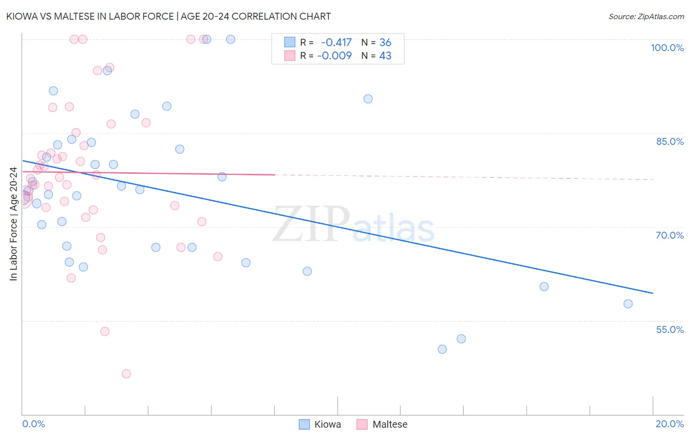 Kiowa vs Maltese In Labor Force | Age 20-24