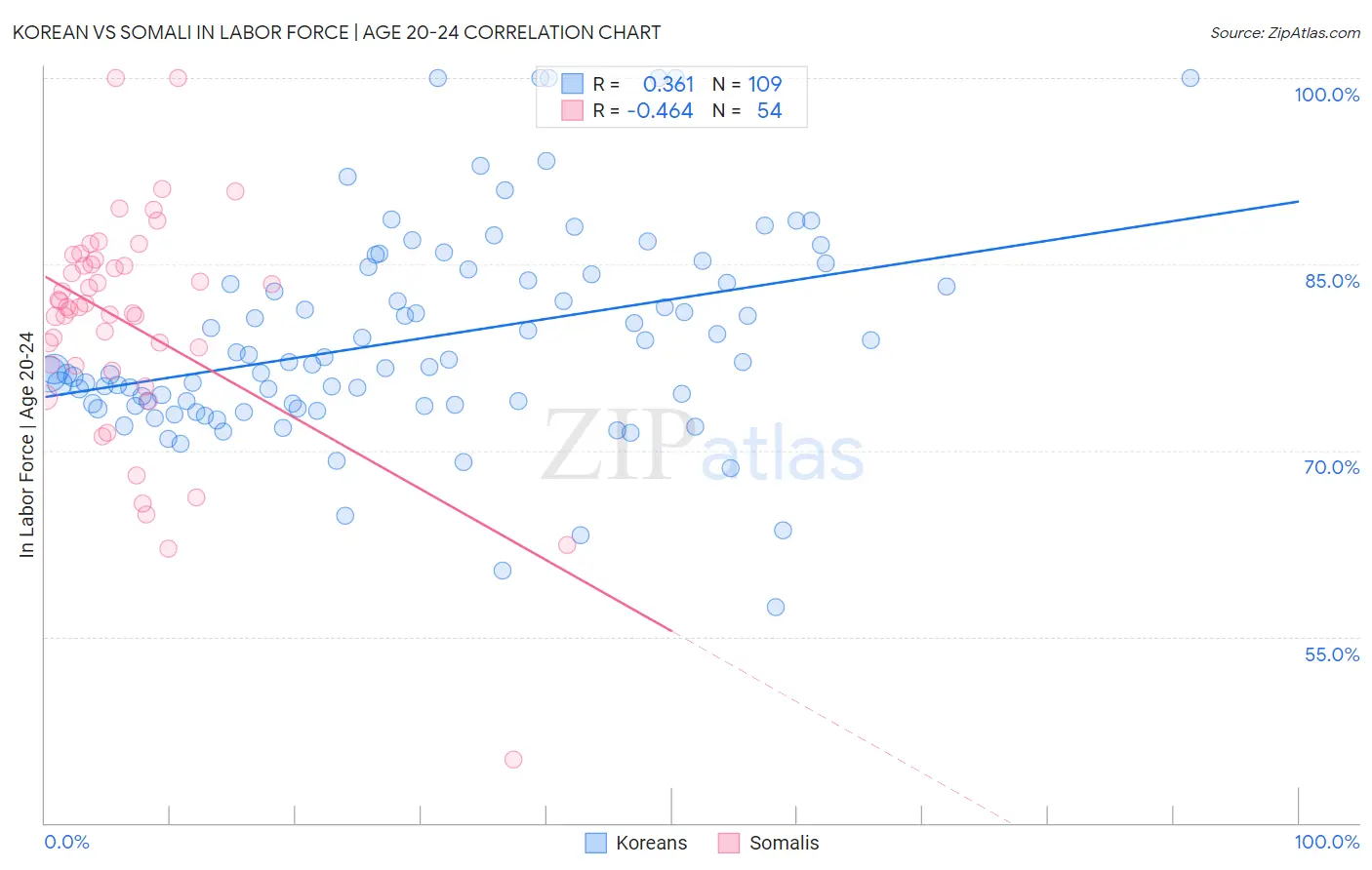 Korean vs Somali In Labor Force | Age 20-24
