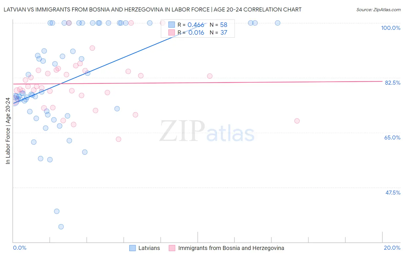 Latvian vs Immigrants from Bosnia and Herzegovina In Labor Force | Age 20-24