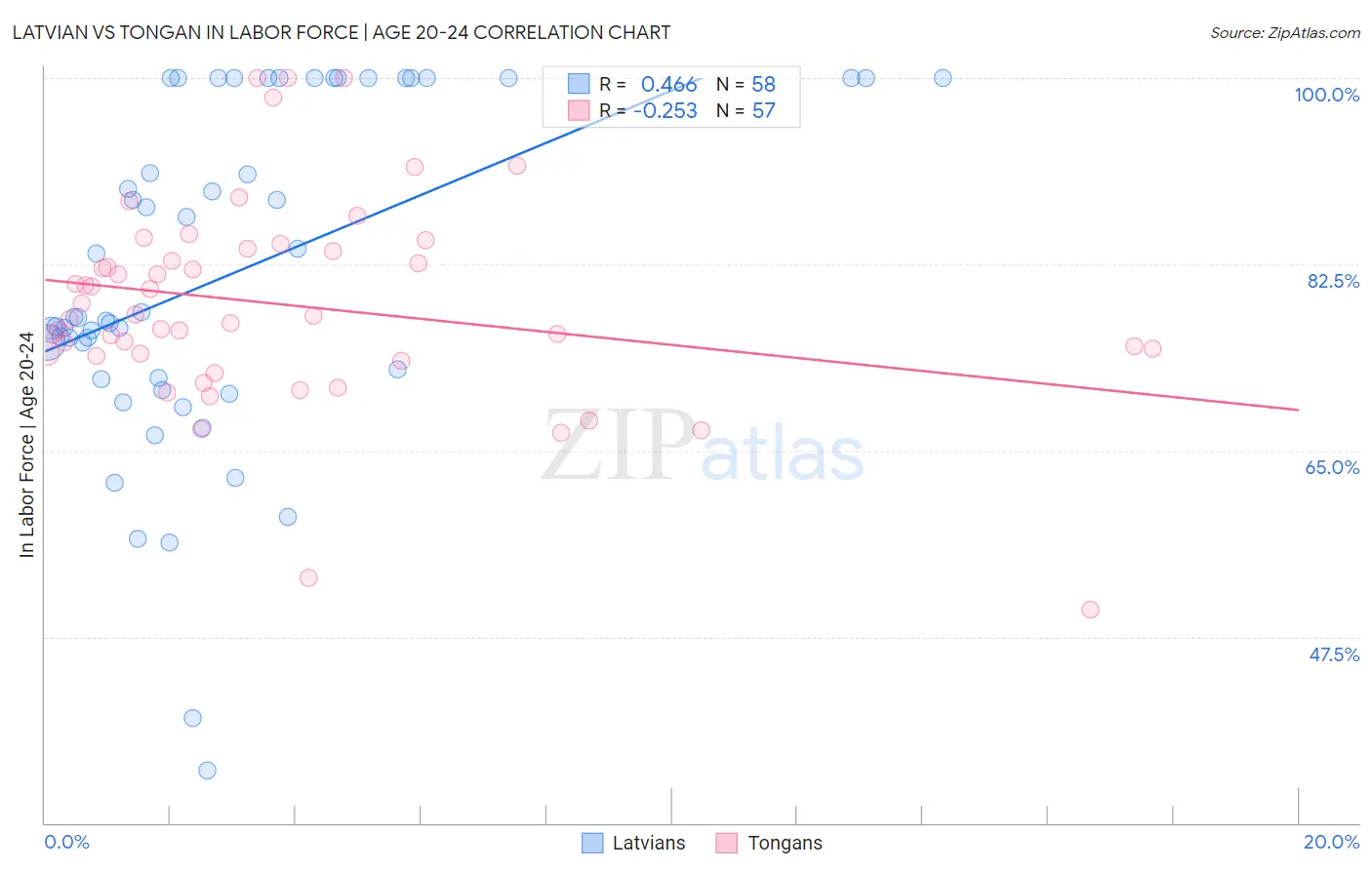 Latvian vs Tongan In Labor Force | Age 20-24