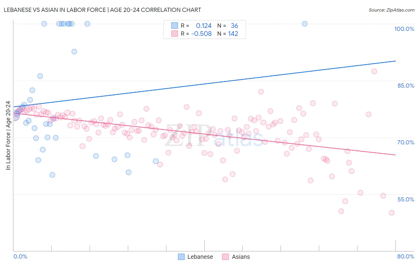 Lebanese vs Asian In Labor Force | Age 20-24