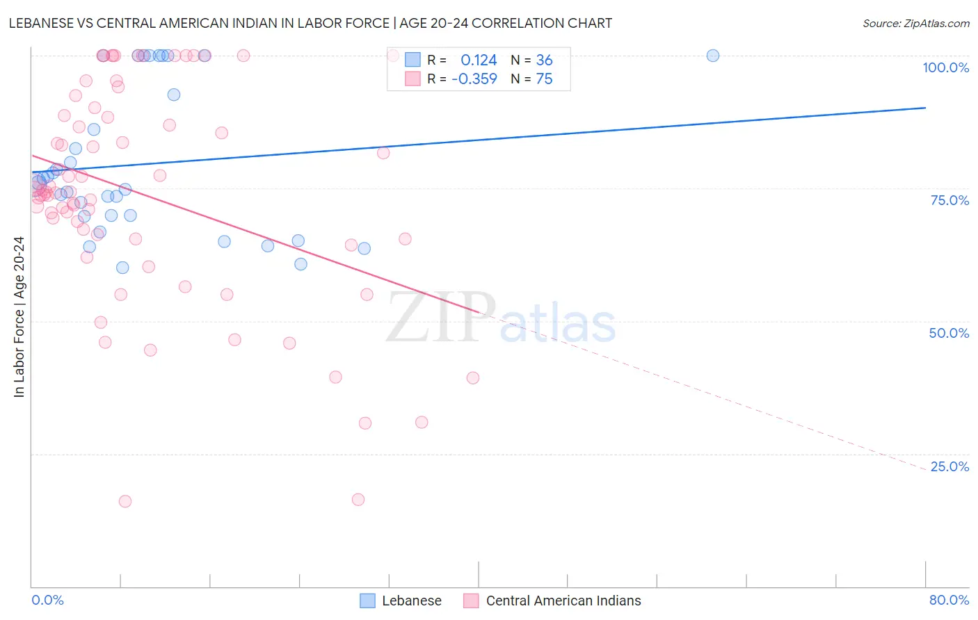 Lebanese vs Central American Indian In Labor Force | Age 20-24