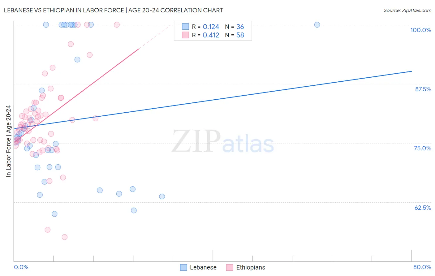 Lebanese vs Ethiopian In Labor Force | Age 20-24