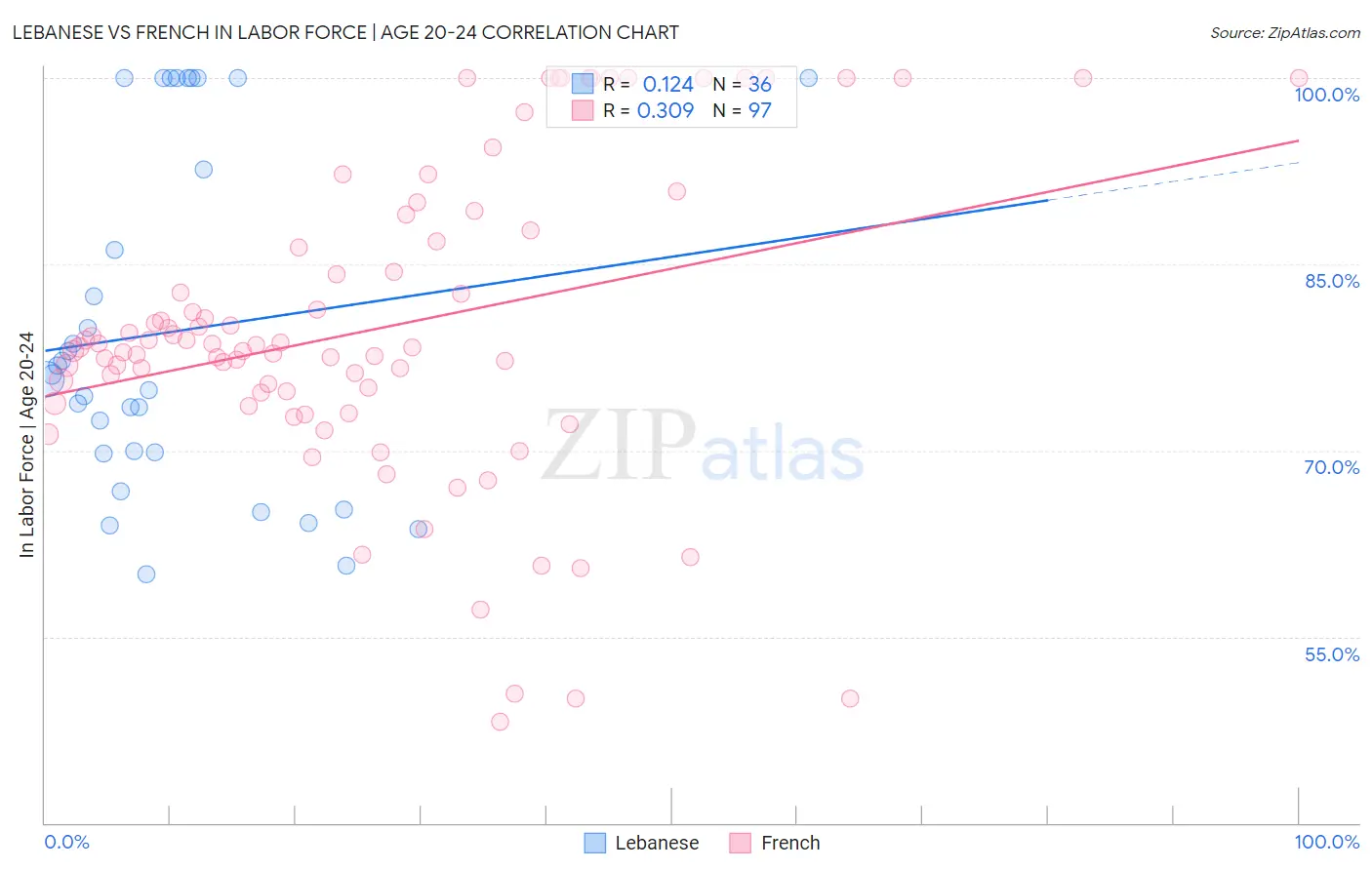 Lebanese vs French In Labor Force | Age 20-24