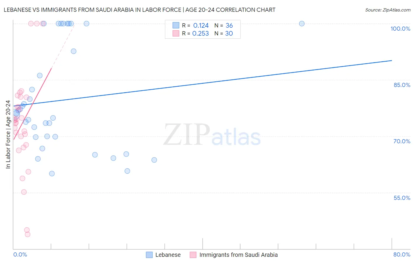 Lebanese vs Immigrants from Saudi Arabia In Labor Force | Age 20-24