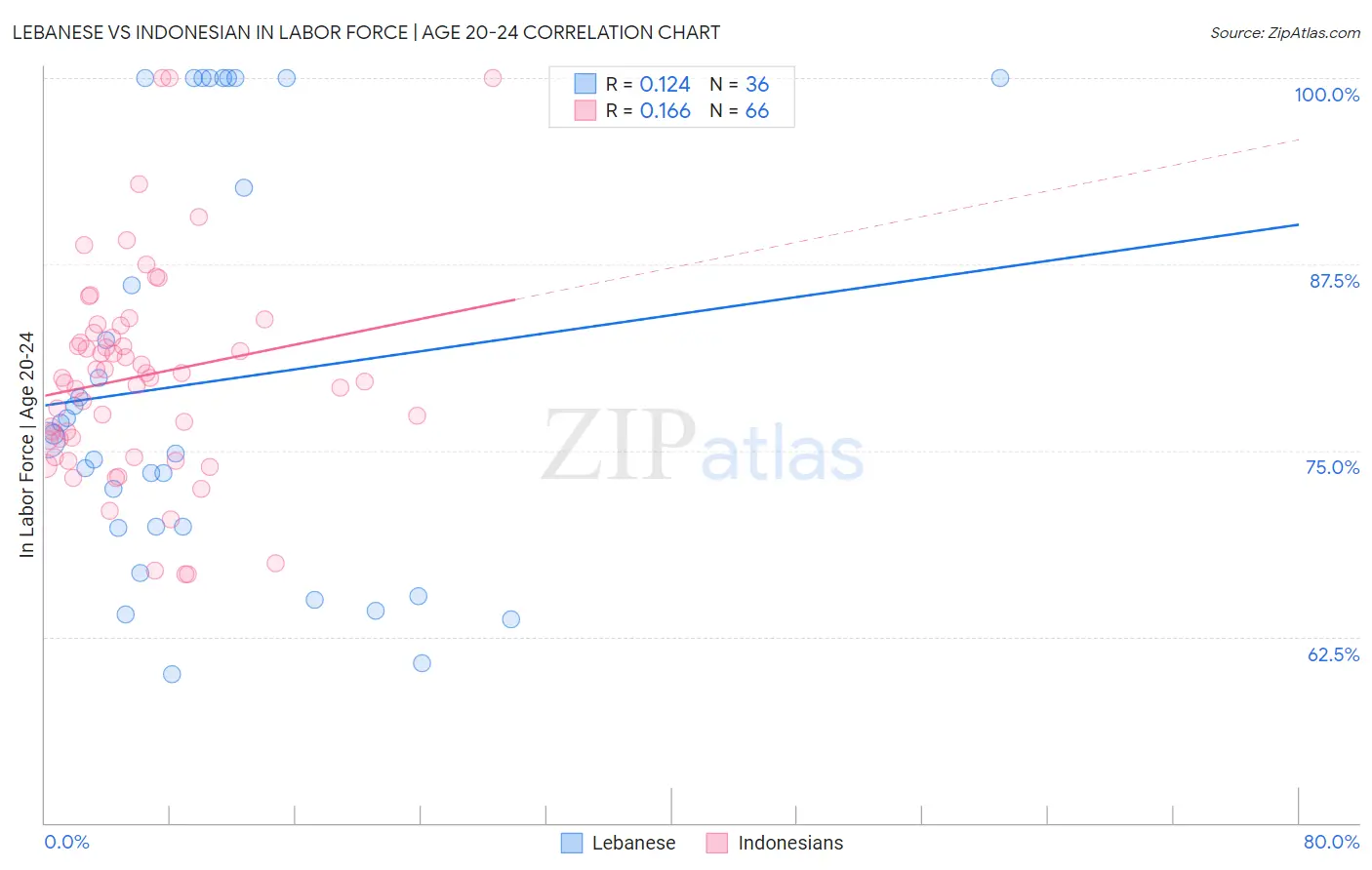 Lebanese vs Indonesian In Labor Force | Age 20-24