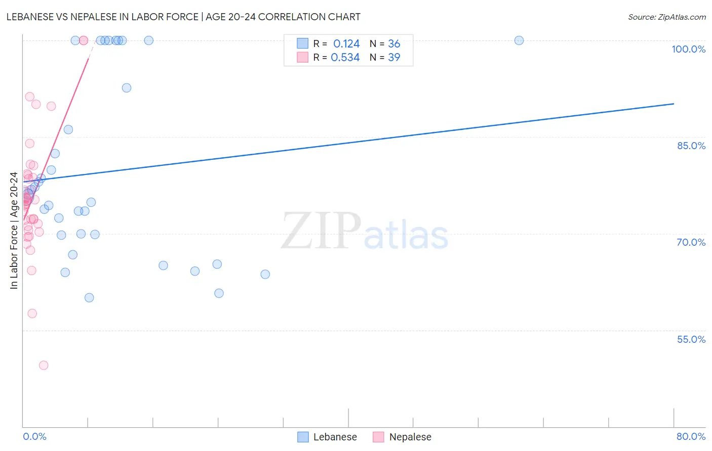 Lebanese vs Nepalese In Labor Force | Age 20-24