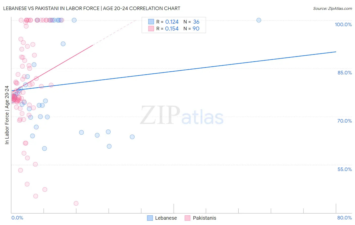 Lebanese vs Pakistani In Labor Force | Age 20-24