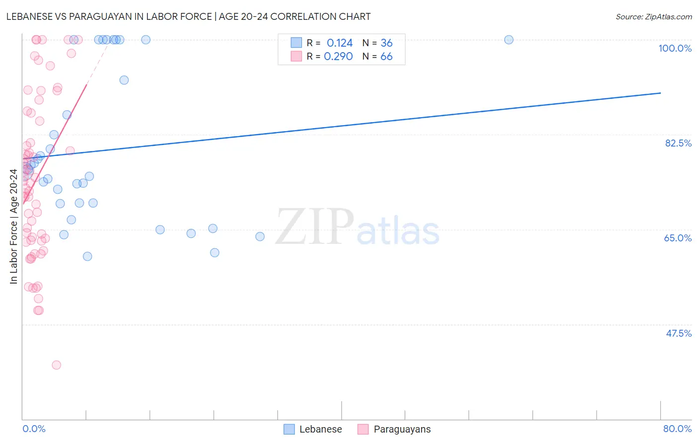 Lebanese vs Paraguayan In Labor Force | Age 20-24