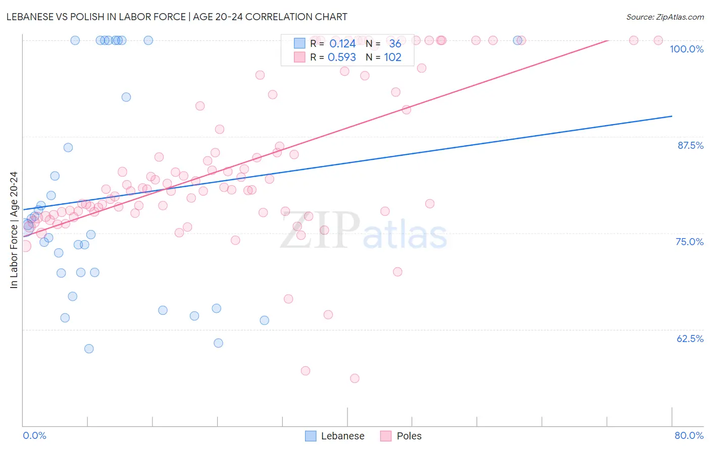 Lebanese vs Polish In Labor Force | Age 20-24