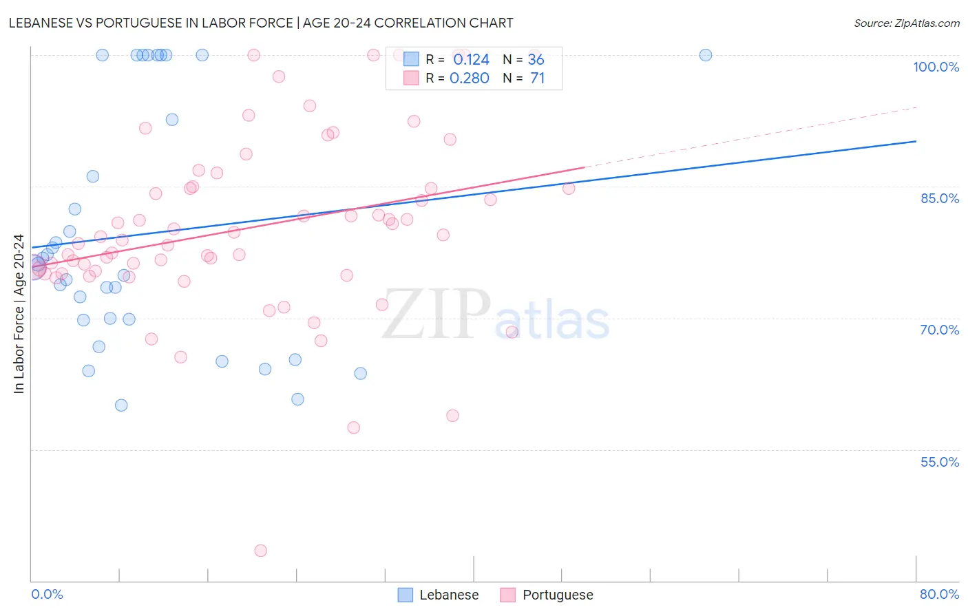 Lebanese vs Portuguese In Labor Force | Age 20-24