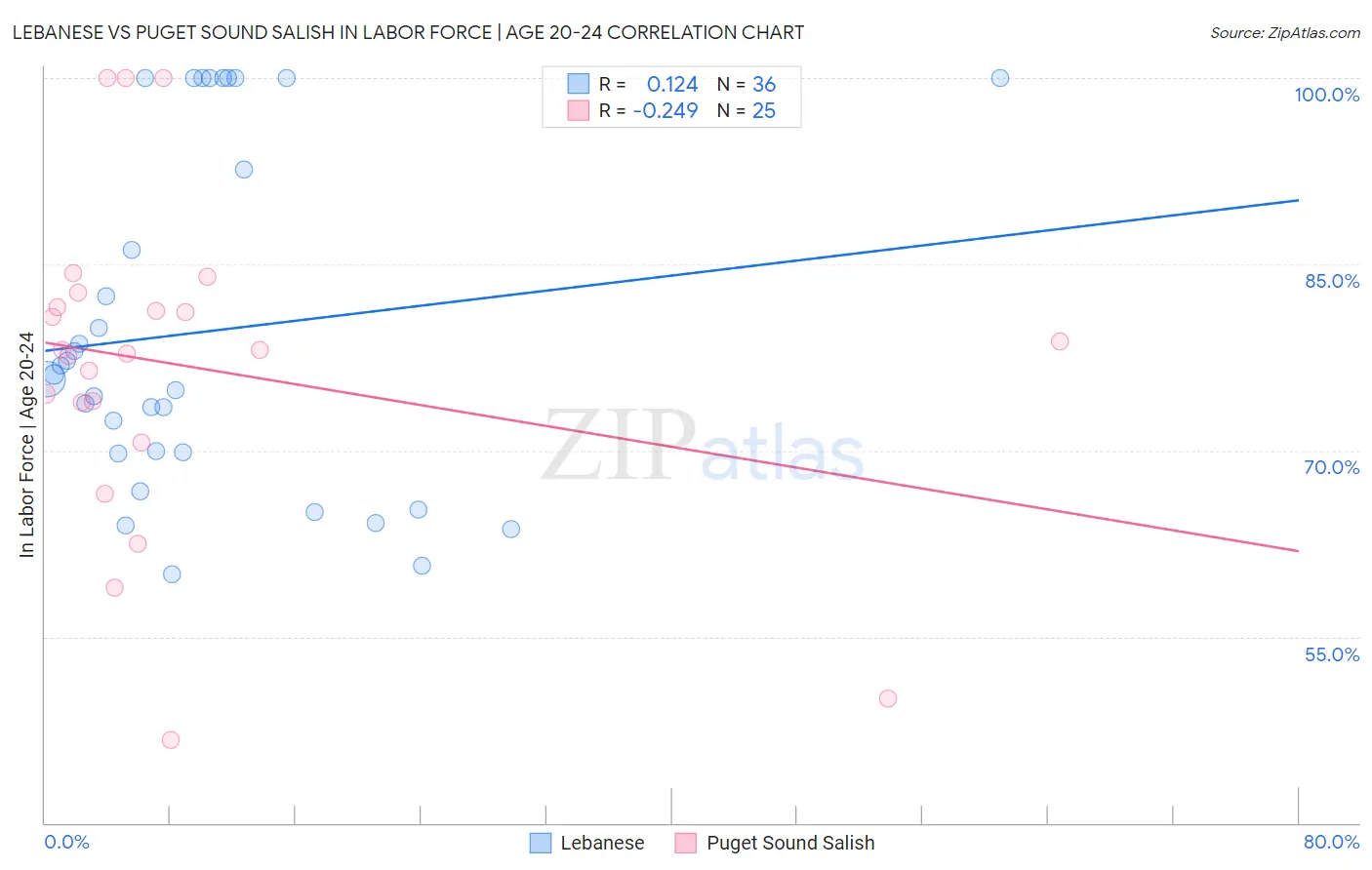 Lebanese vs Puget Sound Salish In Labor Force | Age 20-24