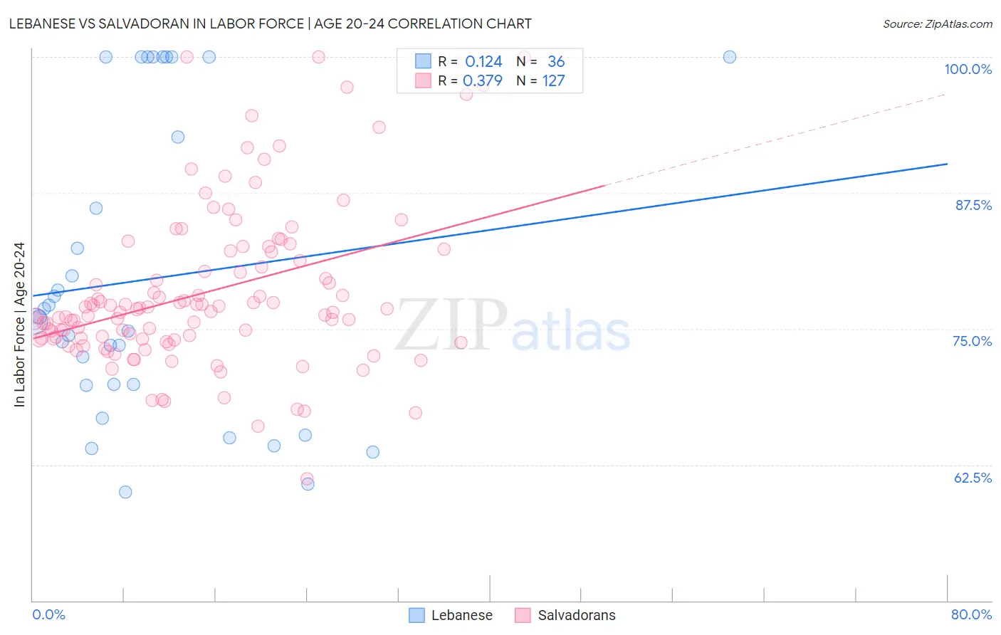 Lebanese vs Salvadoran In Labor Force | Age 20-24