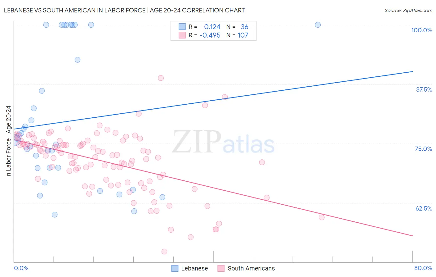 Lebanese vs South American In Labor Force | Age 20-24