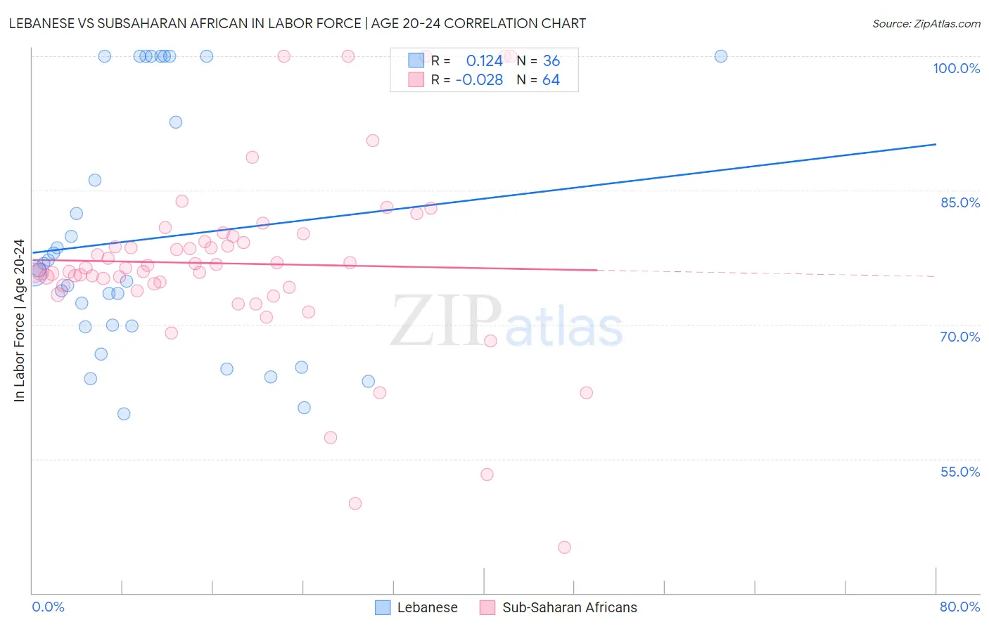 Lebanese vs Subsaharan African In Labor Force | Age 20-24