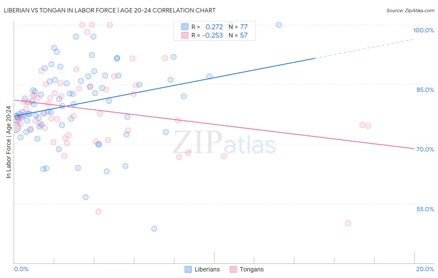 Liberian vs Tongan In Labor Force | Age 20-24