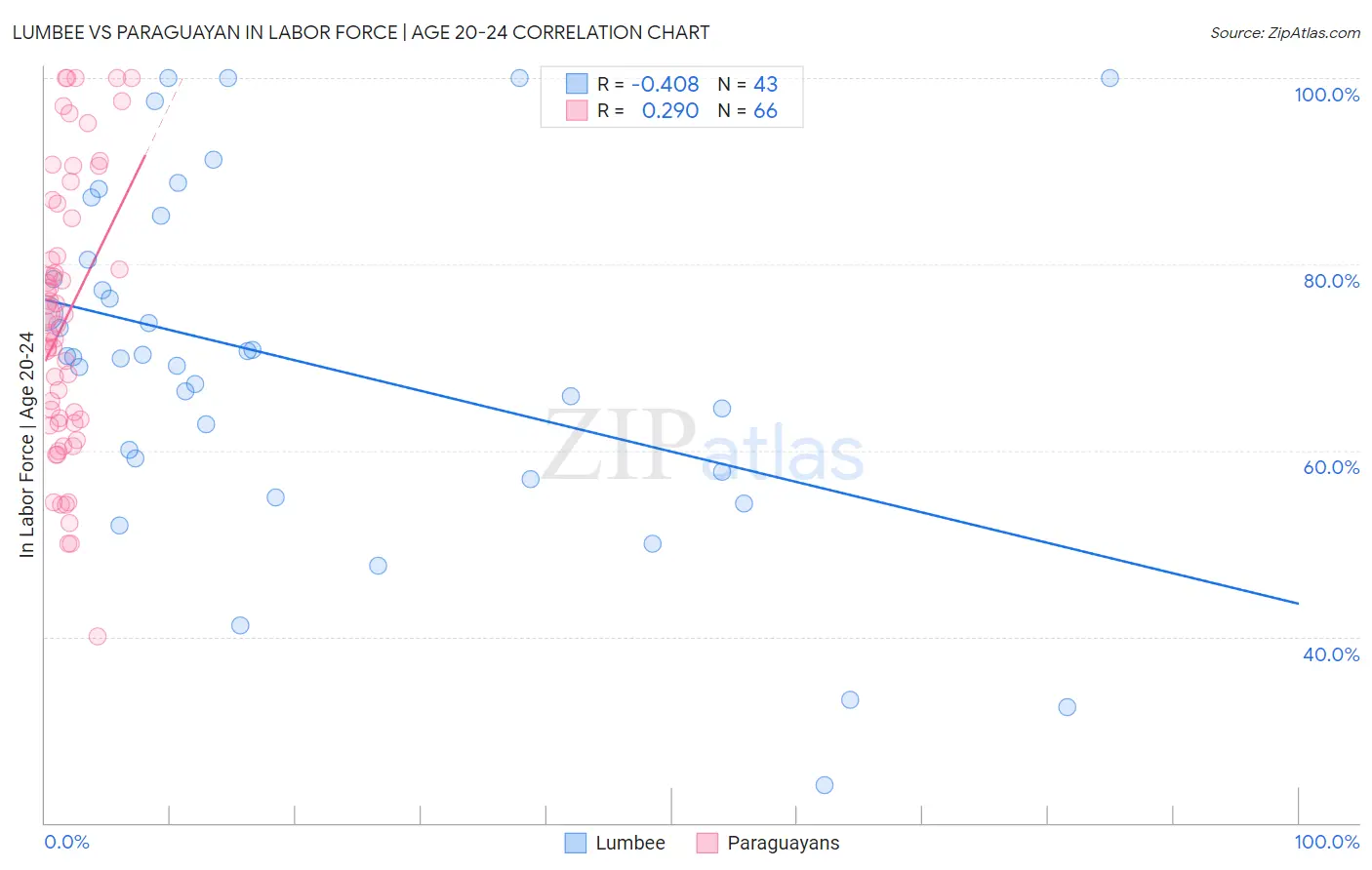 Lumbee vs Paraguayan In Labor Force | Age 20-24