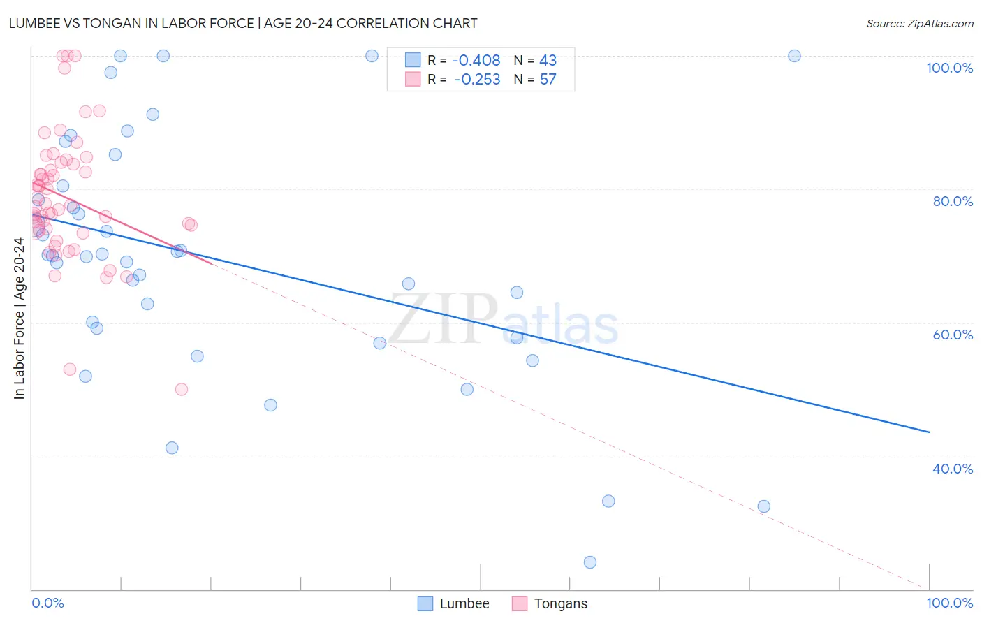 Lumbee vs Tongan In Labor Force | Age 20-24