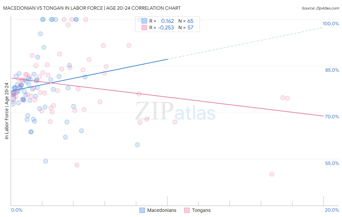 Macedonian vs Tongan In Labor Force | Age 20-24