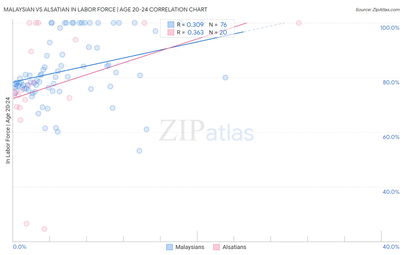 Malaysian vs Alsatian In Labor Force | Age 20-24