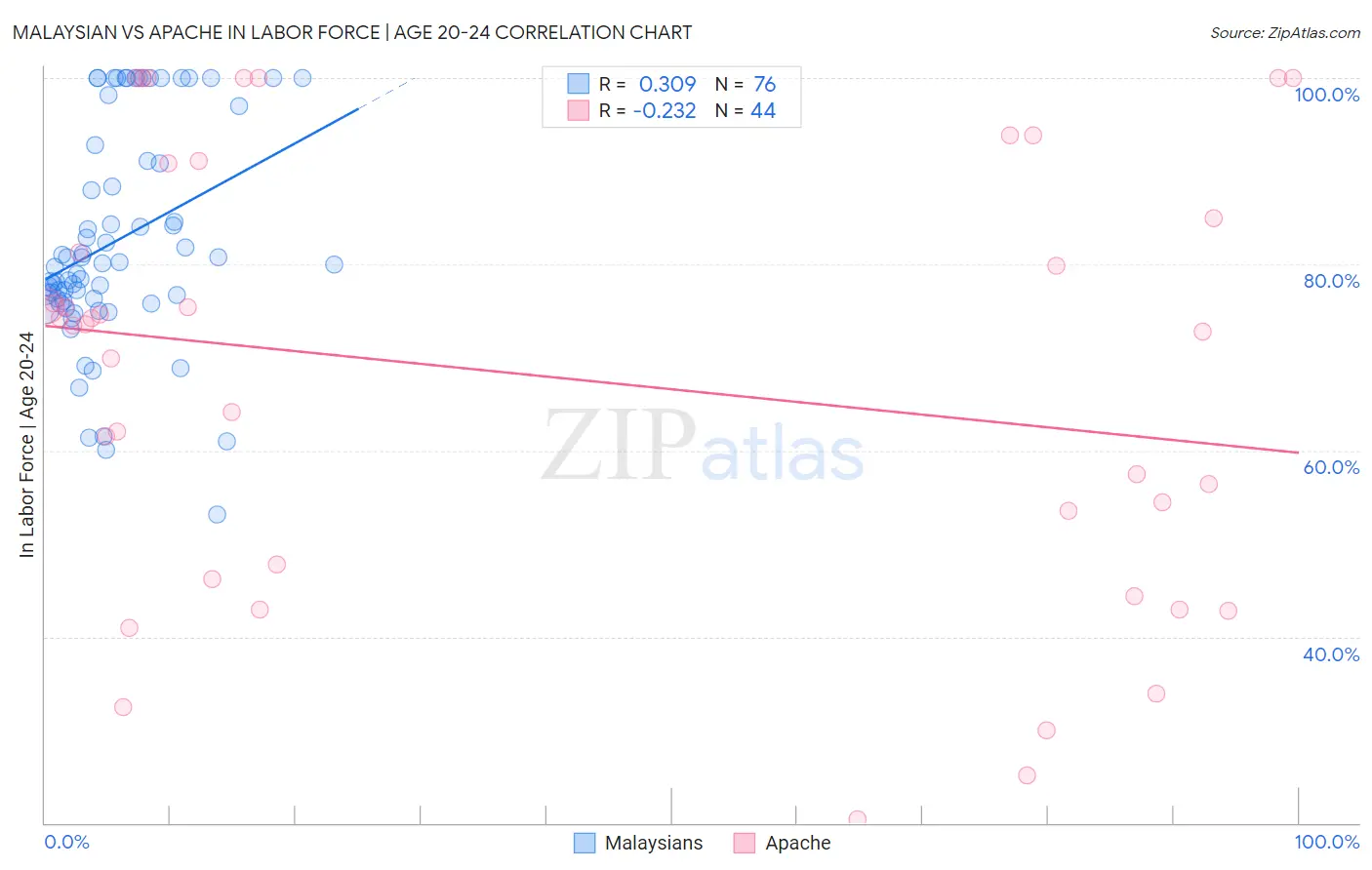 Malaysian vs Apache In Labor Force | Age 20-24