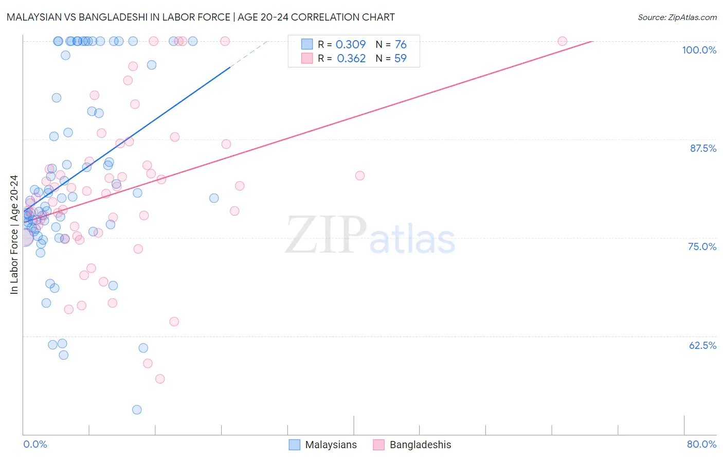 Malaysian vs Bangladeshi In Labor Force | Age 20-24