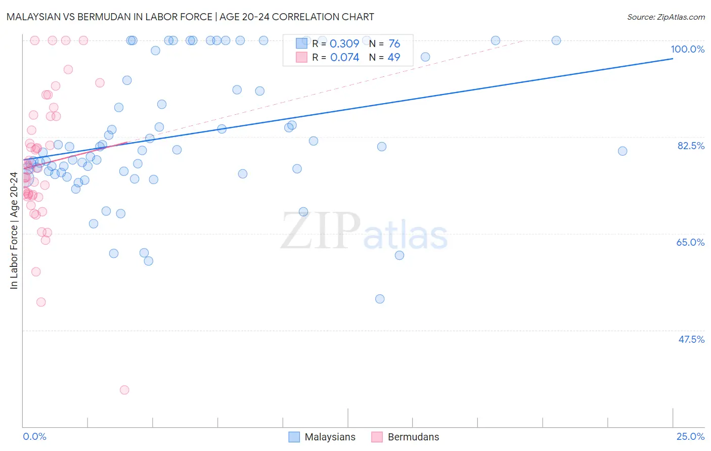 Malaysian vs Bermudan In Labor Force | Age 20-24