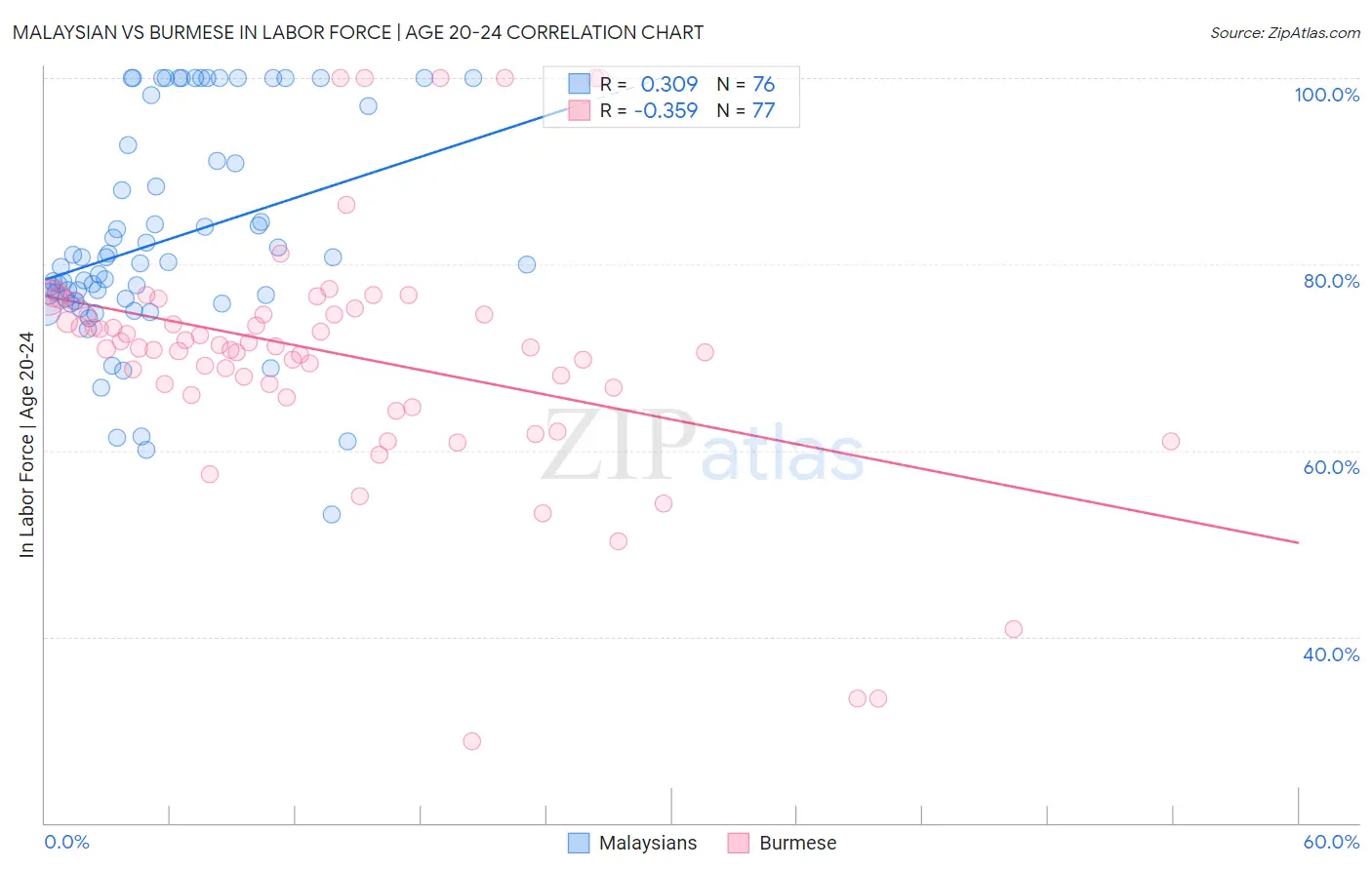 Malaysian vs Burmese In Labor Force | Age 20-24